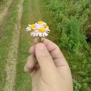 幻想爱人h