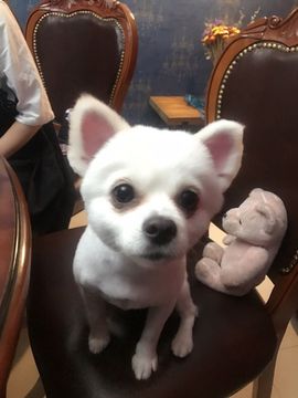 嘚瑟💗主播照片