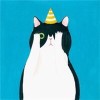 ”他的猫