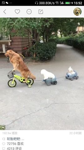 ✨媳婦⭐求🌙帶走✨主播照片