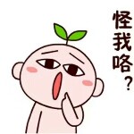 星梦语露露