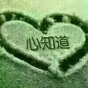 蝴蝶夢t