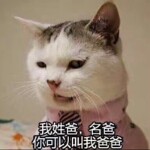 佛倒魔出