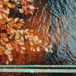 无聊的风儿阵阵吹1海报