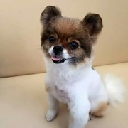 ！刘明珍