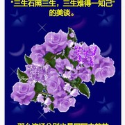 天顺r海报