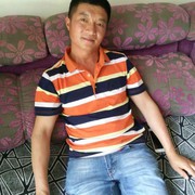 森林9z$海报