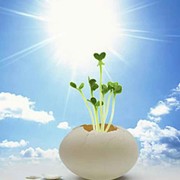 永恆的承諾卟屬ig海报