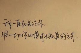 五月~大宝儿尊S大叔主播照片