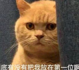 辛束啊主播照片
