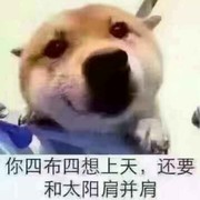 魑魅魍魉$lb