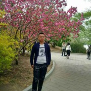 快乐人生vm海报
