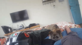 逍遥快活的人主播照片