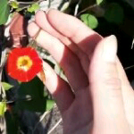 追忆👈主播照片