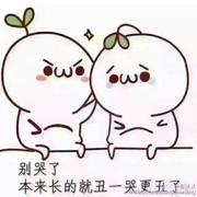 ALisa是笨蛋