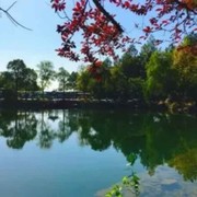 无花果2r的头像