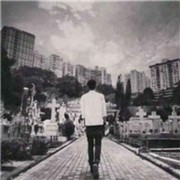 明天°u的头像