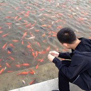 郭fm海报