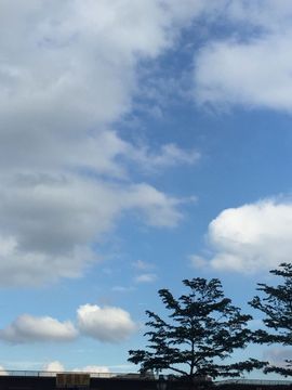 留恋于你主播照片