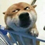 舒二狗
