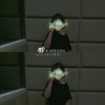 酷彬啊的头像