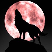 狼人部落、