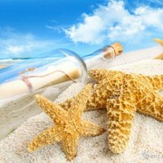 希望的田野guoli的头像