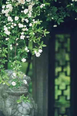 源宝儿😊主播照片