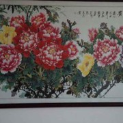 啊龙zl
