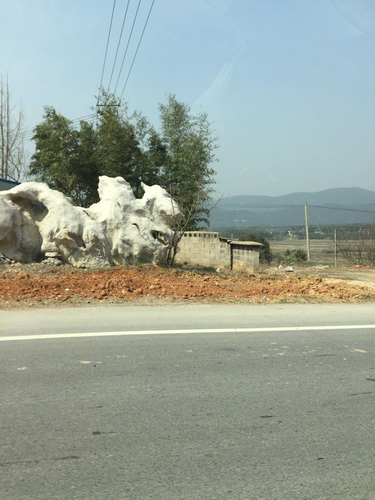 淡淡虎.的主播照片