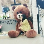 请叫我小米粒的头像