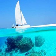 勇哥26海报