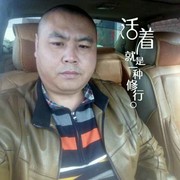 金相信自己宝的头像