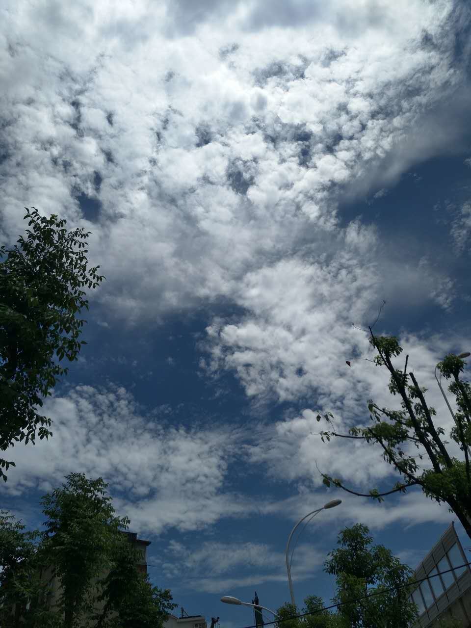 ?﹏菓寶゜微光向暖?的主播照片