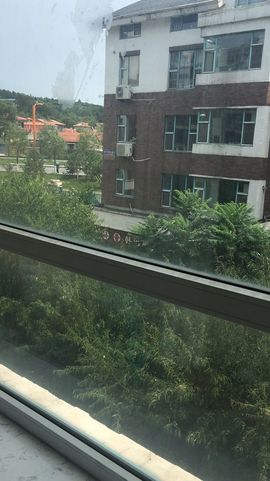 明日的太阳🌞主播照片