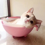 小闺蜜，