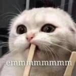 啷个里个啷🐺