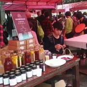 （风筝）