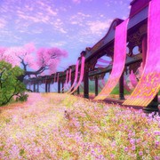 投诉处理--微笑