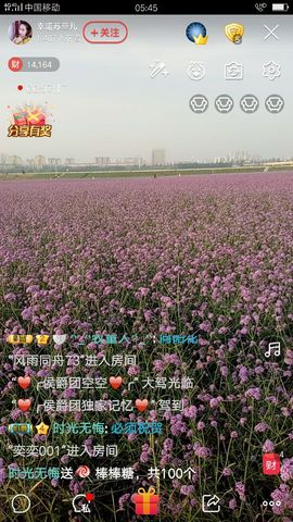 菲儿💅主播照片