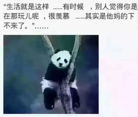 😱……主播照片