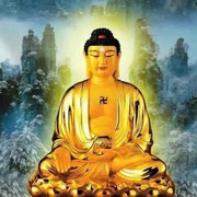 路哥在路上