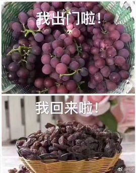 六六求升级主播照片