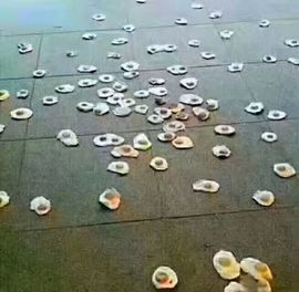 大璐璐☔主播照片