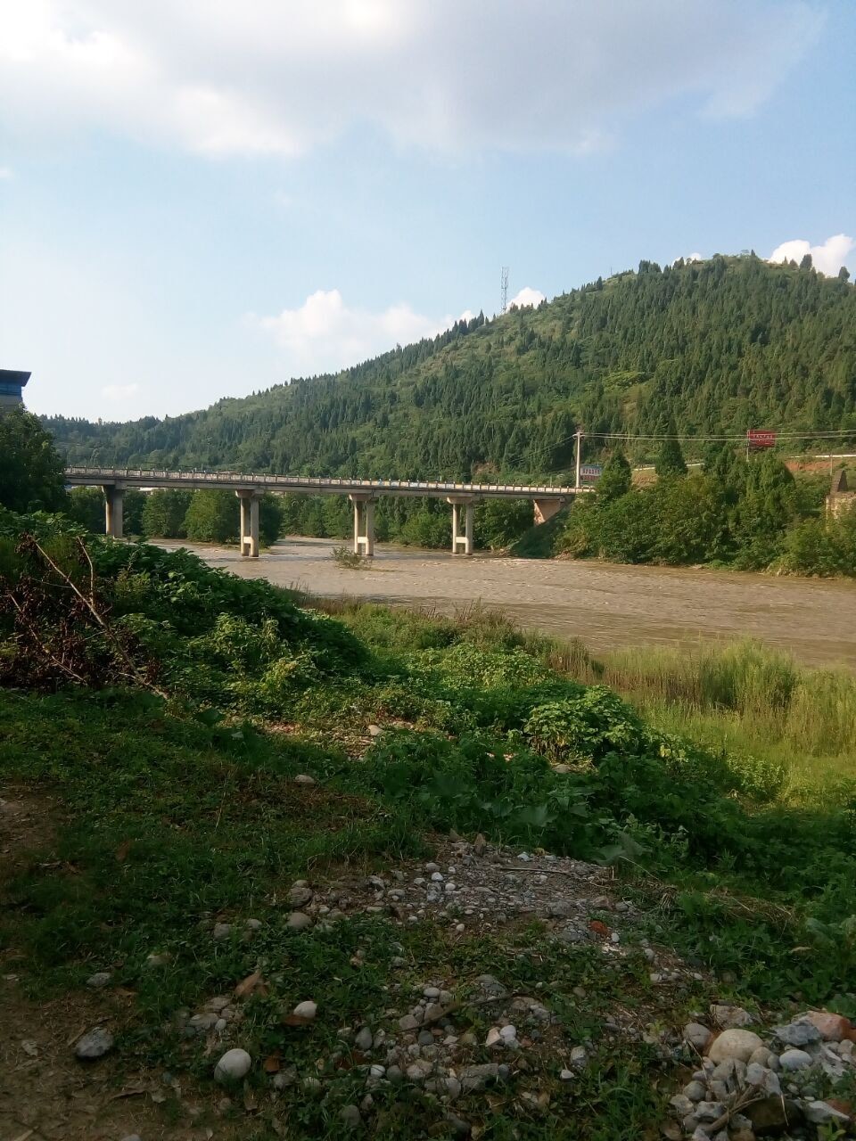 黄瓜茄子玉米萝卜冬瓜的主播照片