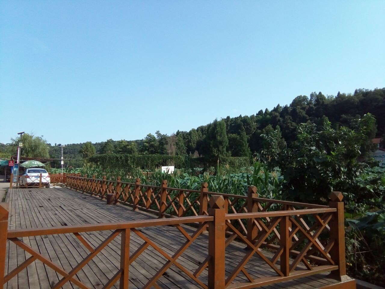 黄瓜茄子玉米萝卜冬瓜的主播照片