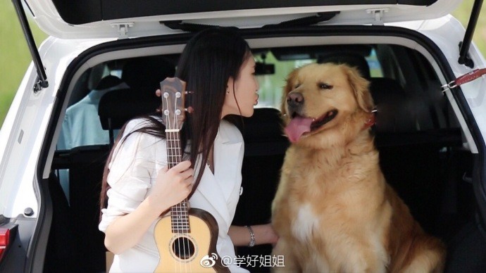 習慣有妮的图片