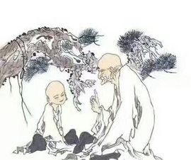 58426685主播照片