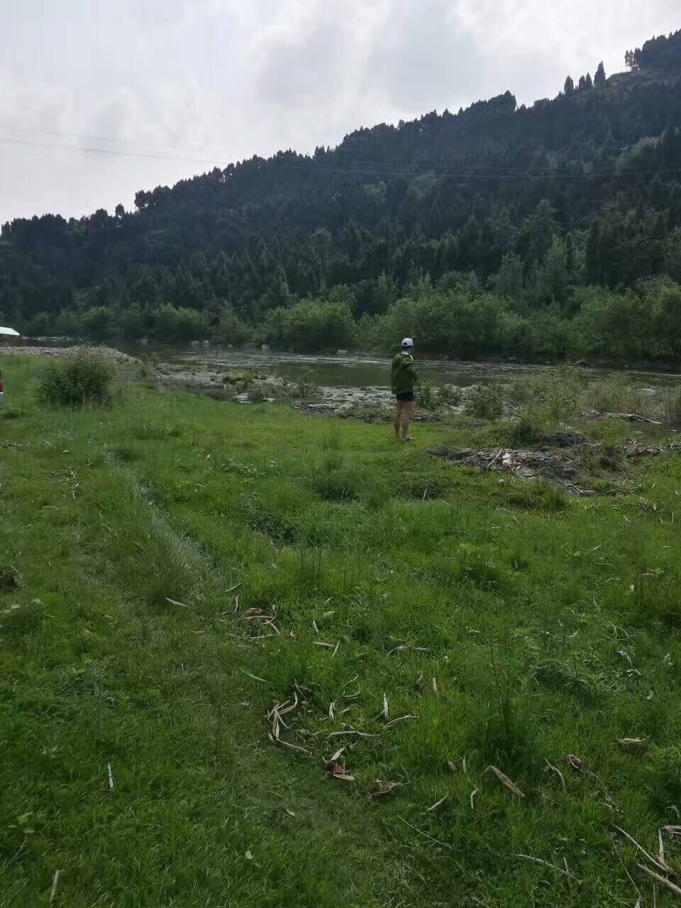 黄瓜茄子玉米萝卜冬瓜的主播照片