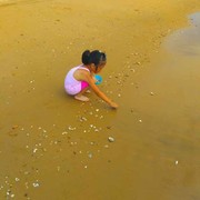 杨海宁4